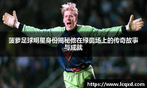 菠萝足球明星身份揭秘他在绿茵场上的传奇故事与成就